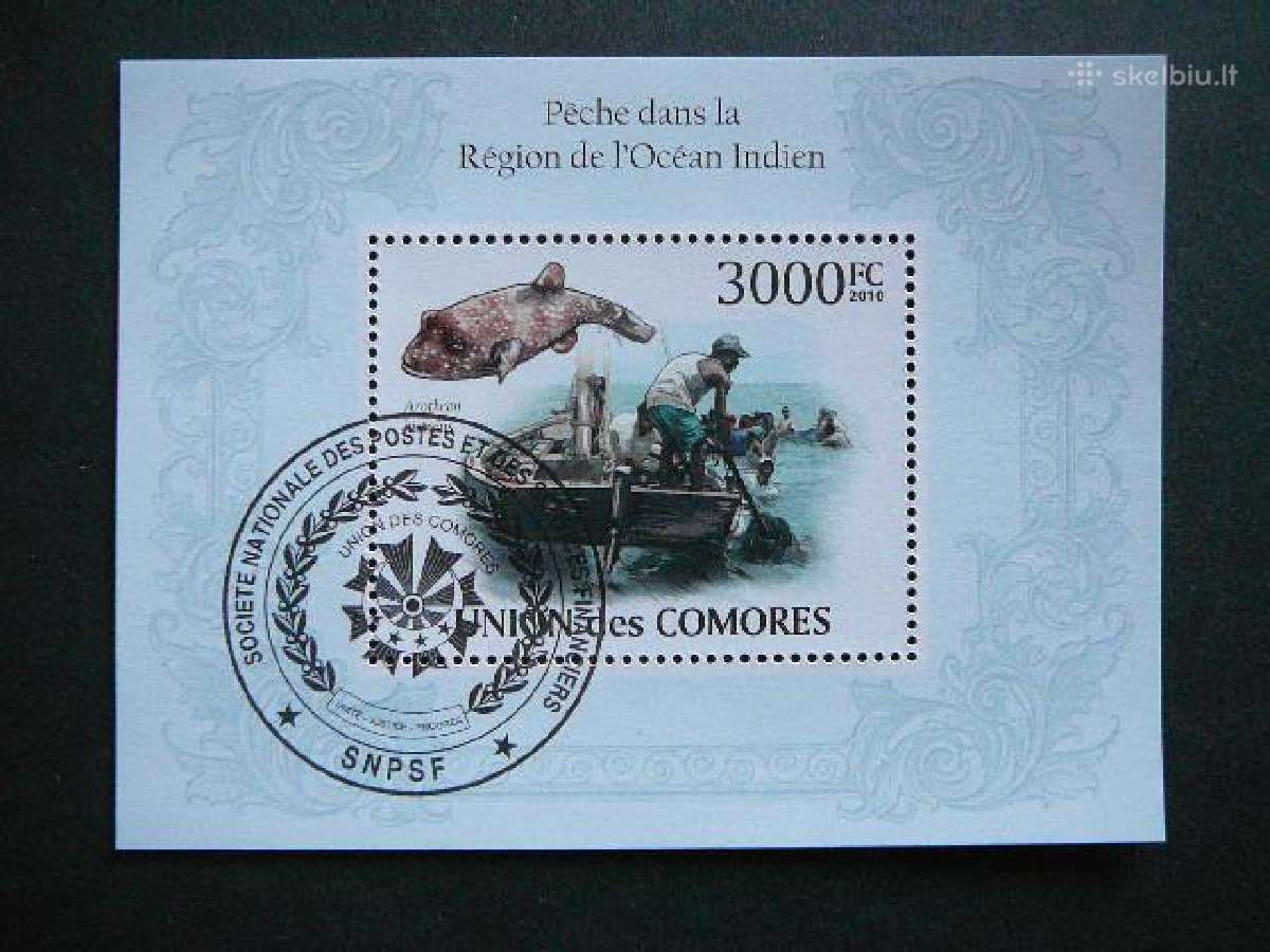 Zuvys Komorai 2010 antsp. cmr539