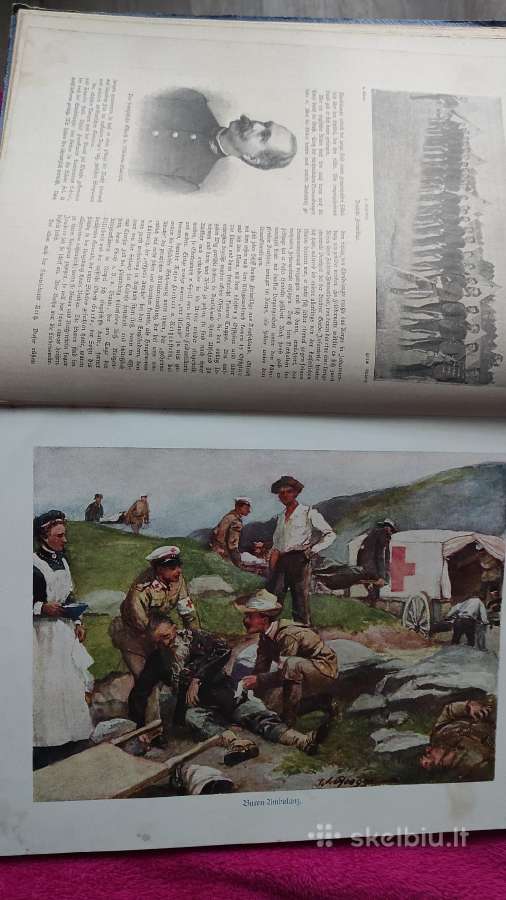 Vokeciu afrikos kolonijos daug Foto - nuotraukos Nr. 2