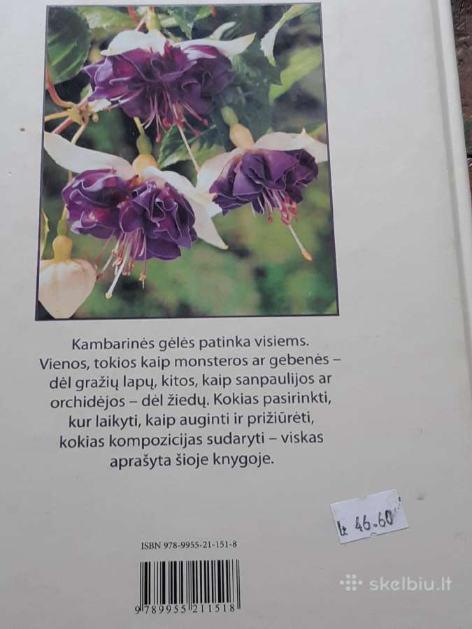 Trys knygos apie kambarines, šiltnamių gėles, tulp - nuotraukos Nr. 3