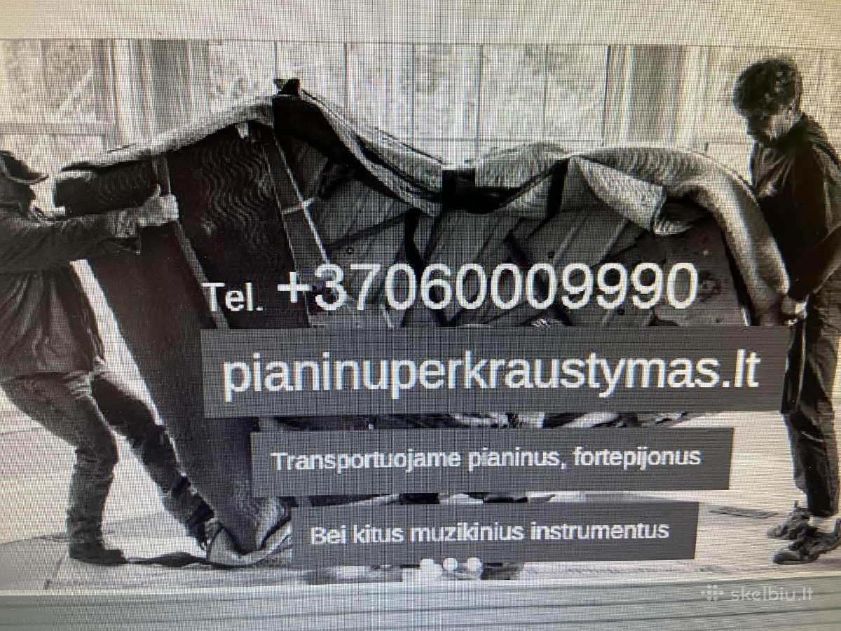 Parduodamas pianinas Scheidmayer Vokietija - nuotraukos Nr. 16