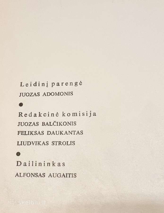 Taikomosios-dekoratyvinės dailės albumas - nuotraukos Nr. 8
