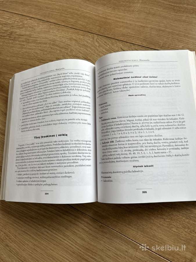 Į vaiką orientuotų klasių kūrimas - nuotraukos Nr. 4