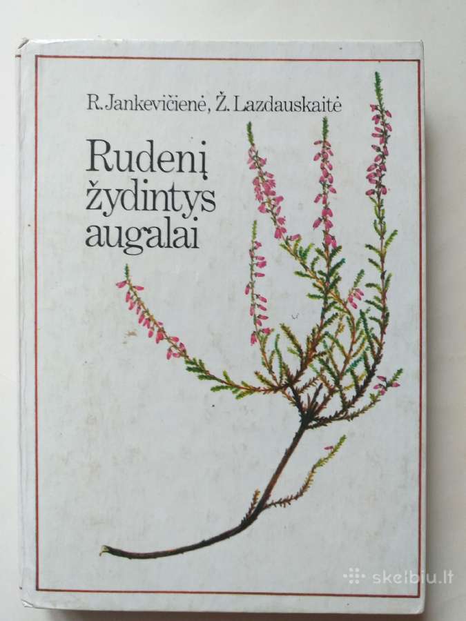 Rudenį žydintys augalai