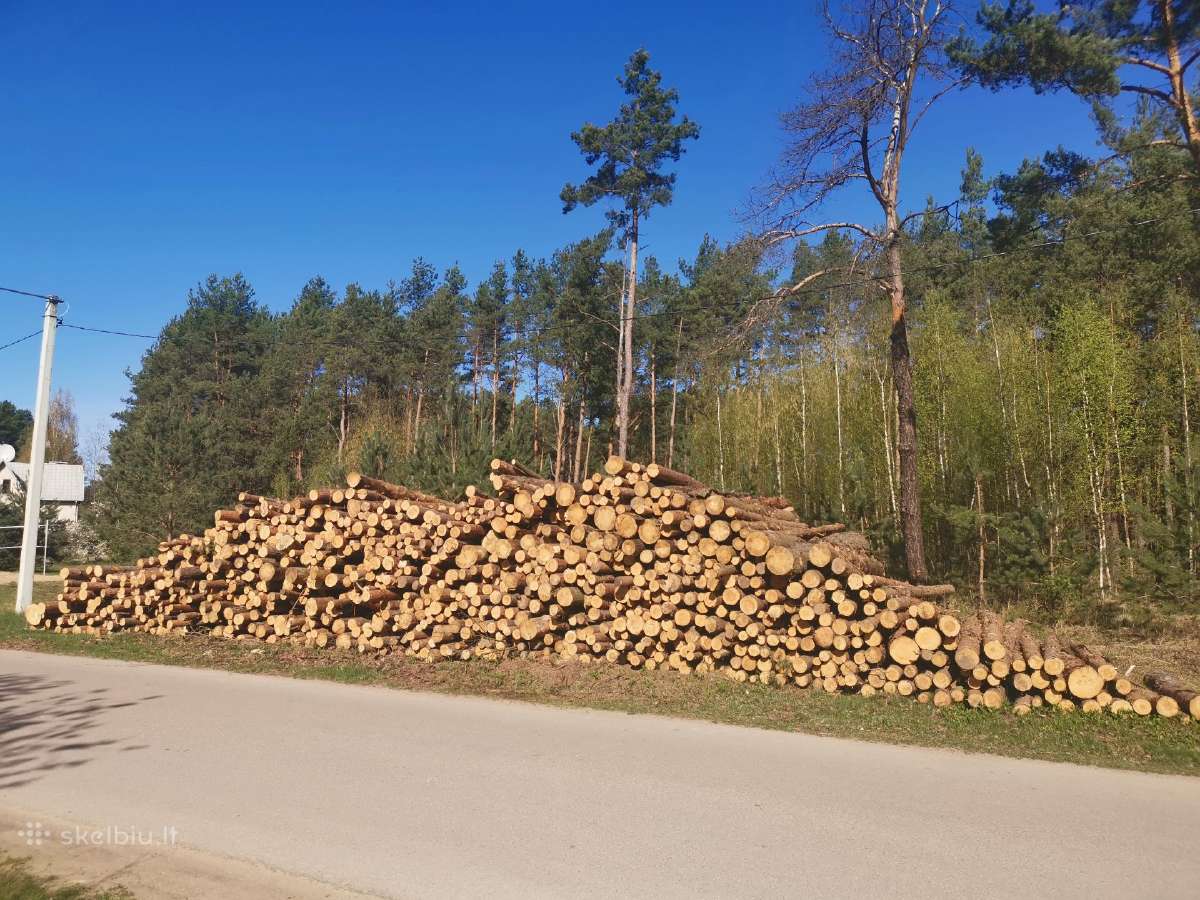 Malkos skaldytos ar kalademis, Kokybiškos sausos. - nuotraukos Nr. 15