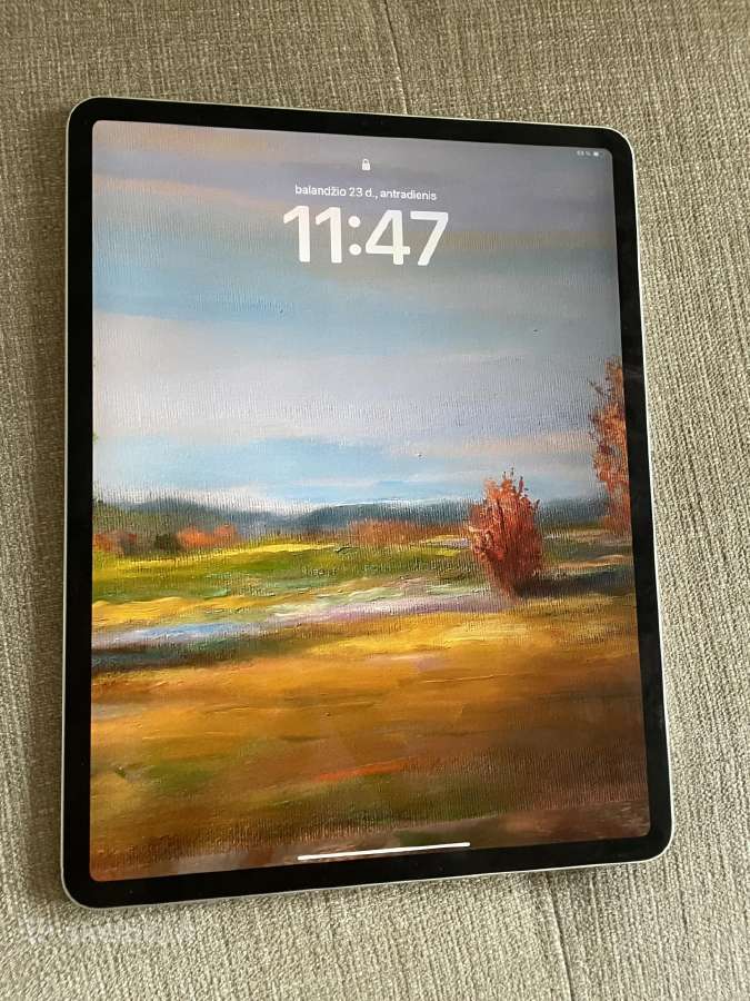 iPad Pro 12.9 (4th gen) 256gb su Sim idealus