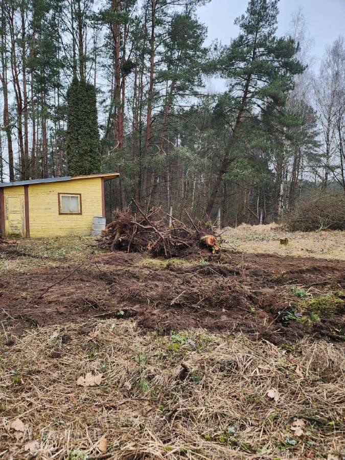 Sklypu Tvarkymas, šakų Išvežimas,krūmų pjvm.24/7 - nuotraukos Nr. 9