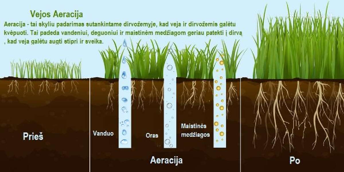 Vejos aeravimas, skarifikavimas,vejos atnaujinimas - nuotraukos Nr. 6