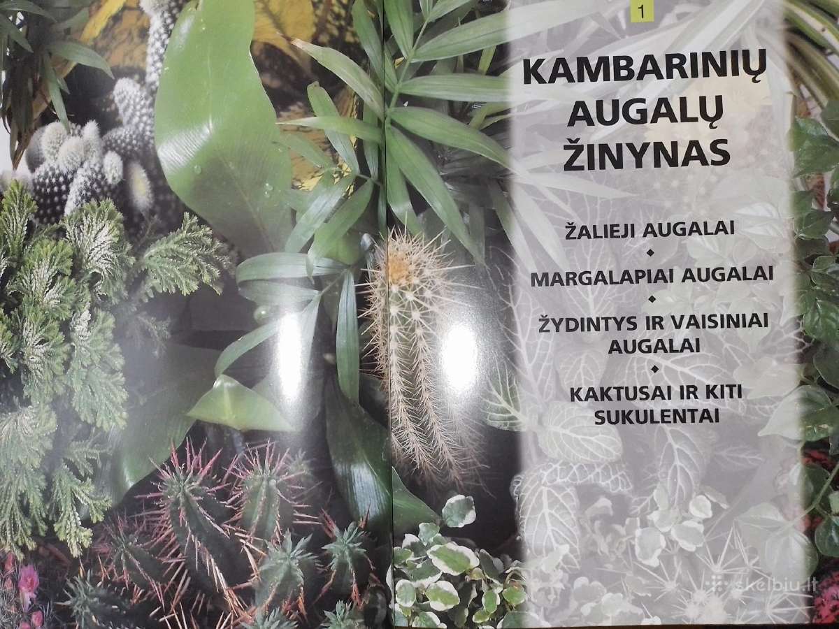Kambarinių augalų žinynas - nuotraukos Nr. 2