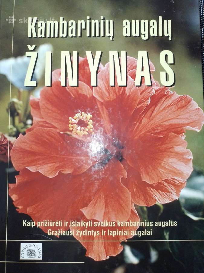 Kambarinių augalų žinynas