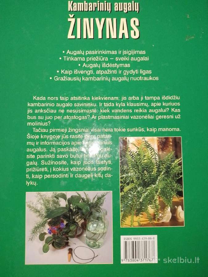 Kambarinių augalų žinynas - nuotraukos Nr. 4
