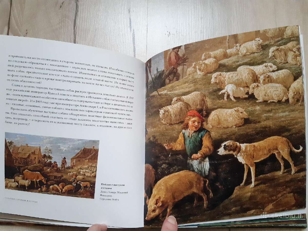 Knyga "Bogi, liudi, sobaki" - nuotraukos Nr. 5