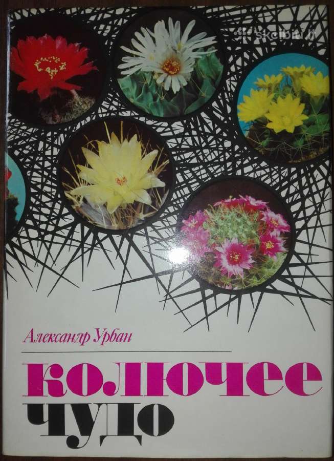 1349. Колючее Чудо Урбан А.