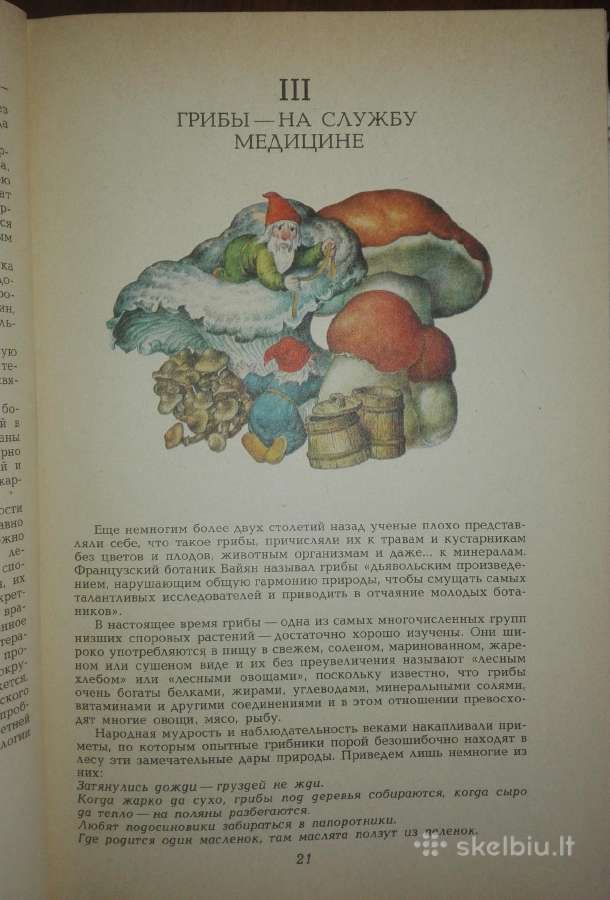1350. Целебные Кладовые Природы Стекольников Л. И - nuotraukos Nr. 4