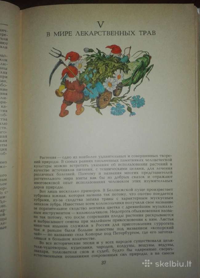 1350. Целебные Кладовые Природы Стекольников Л. И - nuotraukos Nr. 5