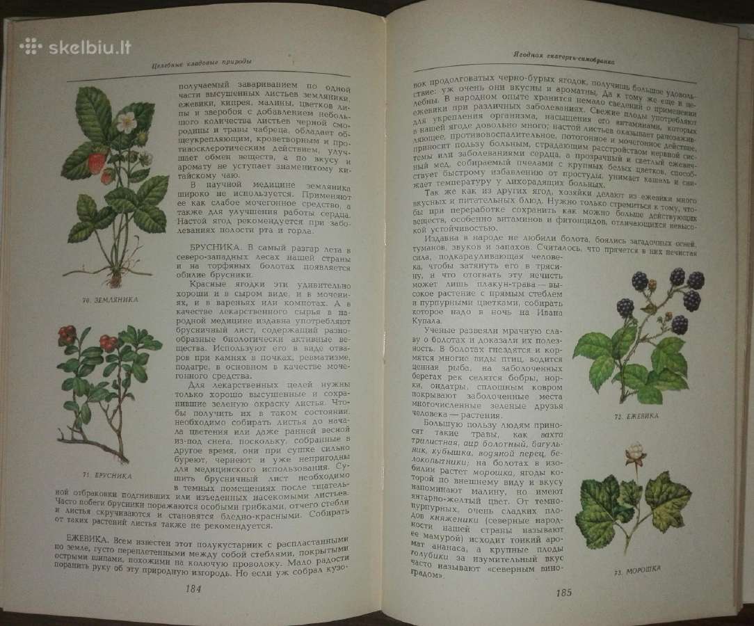 1350. Целебные Кладовые Природы Стекольников Л. И - nuotraukos Nr. 6