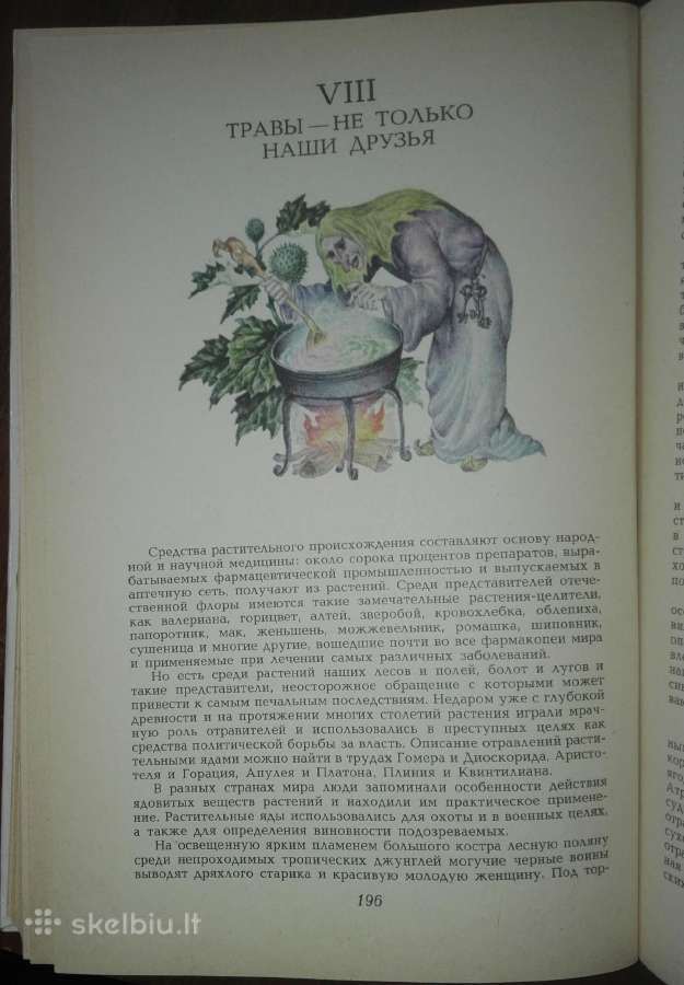 1350. Целебные Кладовые Природы Стекольников Л. И - nuotraukos Nr. 7