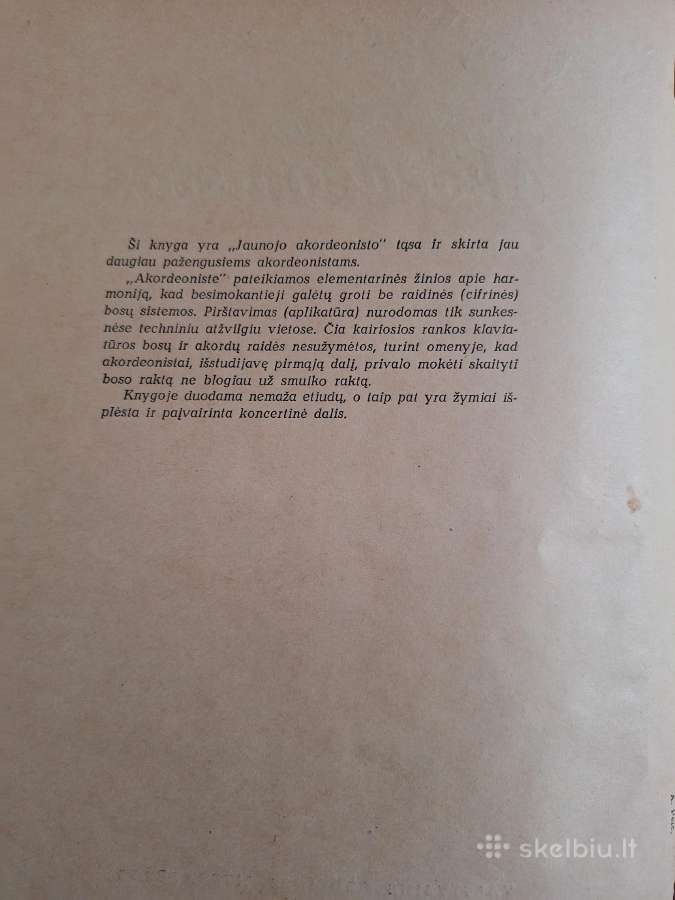 Akordeonistas - nuotraukos Nr. 2