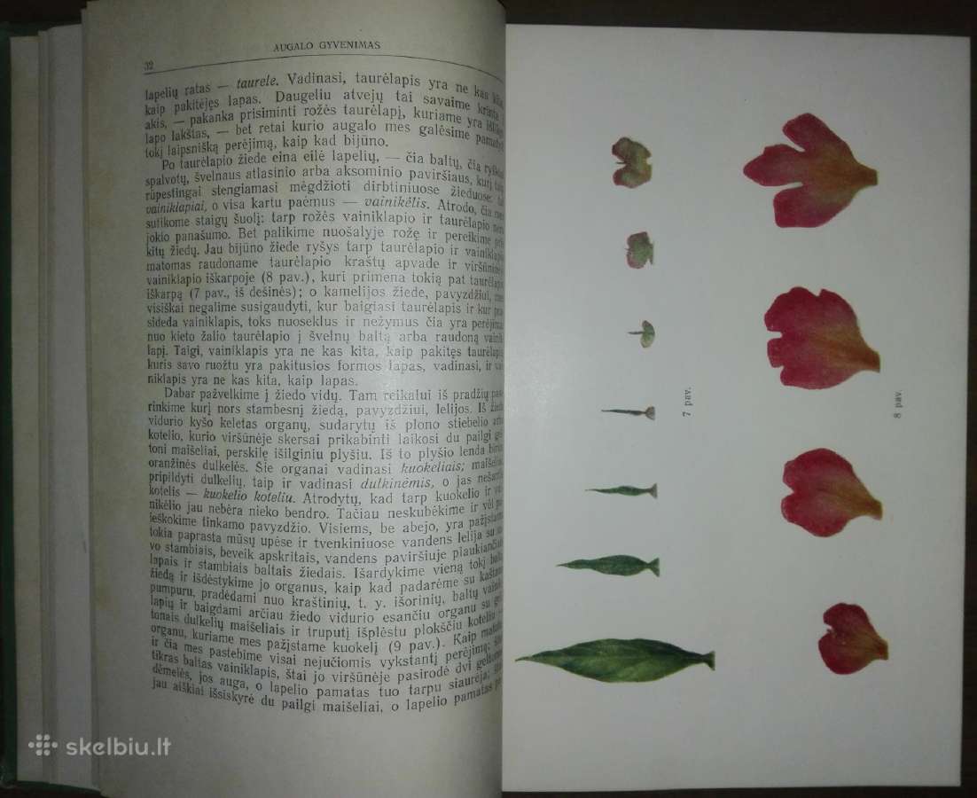 1354. Augalo Gyvenimas Timiriazevas K. - nuotraukos Nr. 2