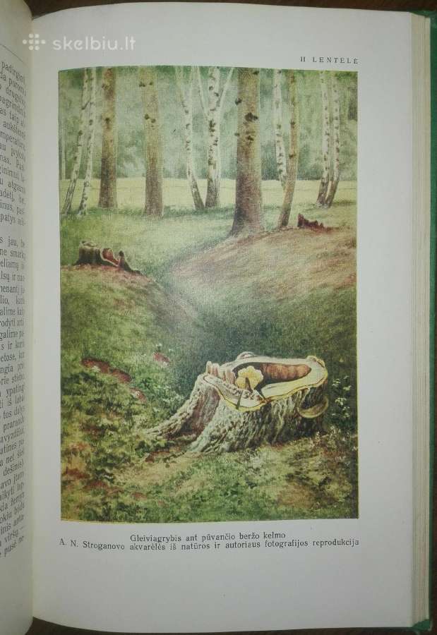 1354. Augalo Gyvenimas Timiriazevas K. - nuotraukos Nr. 4
