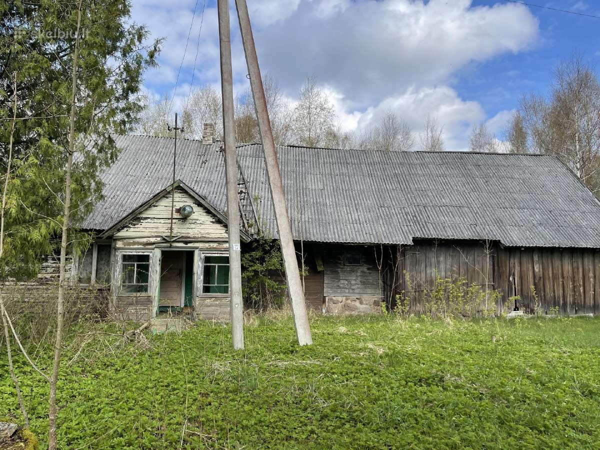 Vienkiemis su mišku 3,4 h, Klibiu k., Klaipėdos r
