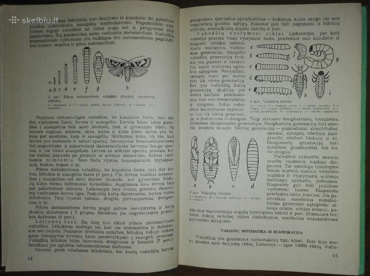 1361. Augalų Apsauga - nuotraukos Nr. 2