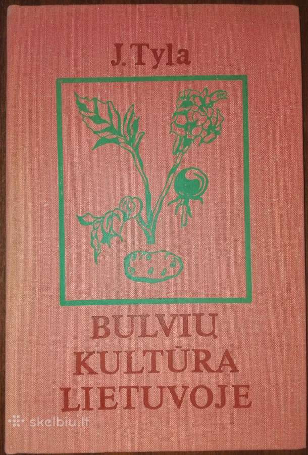 1364. Bulvių Kultūra Lietuvoje Tyla J.