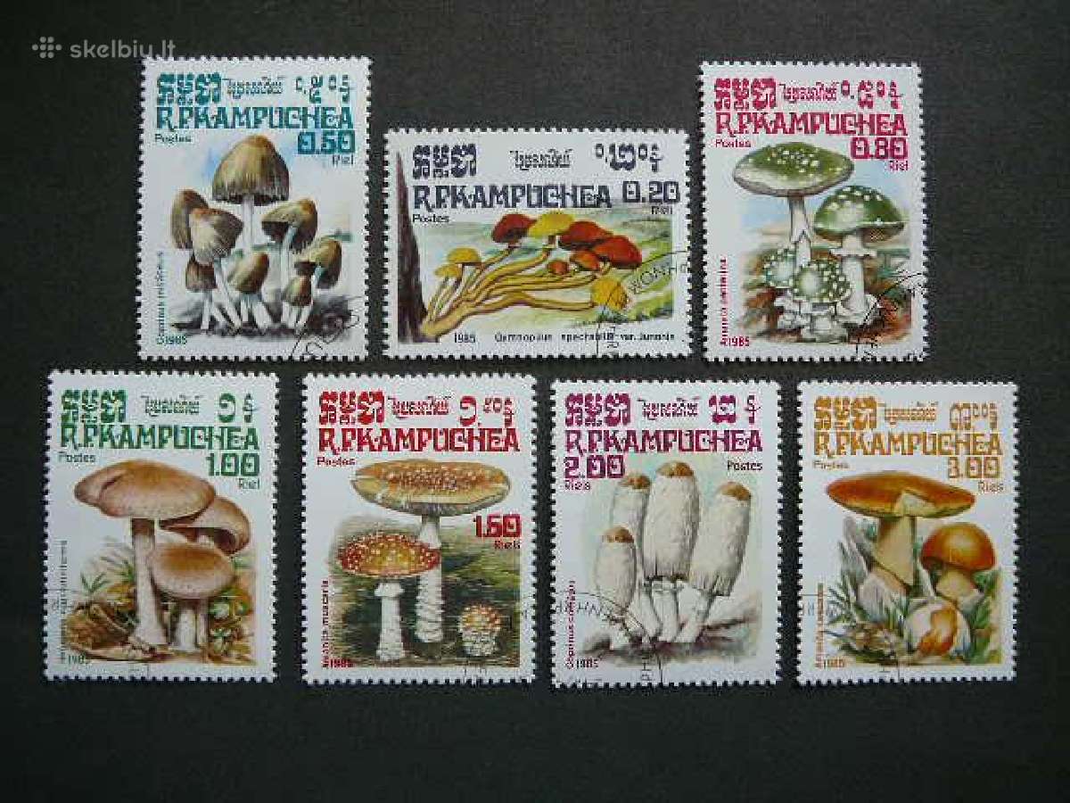 Grybai Kampucija 1985 antsp. kmp127