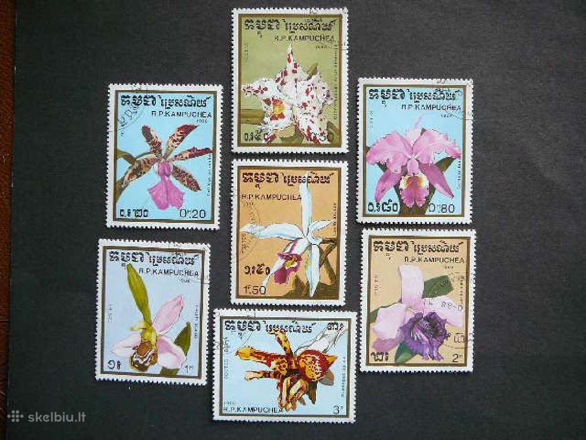 Orchidejos Geles Kampucija 1988 antsp. kmp112