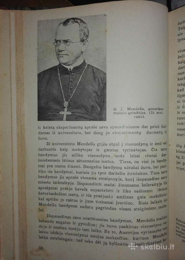 1374. Gyvoji Gamta Ir Mes Šivickis P. - nuotraukos Nr. 5