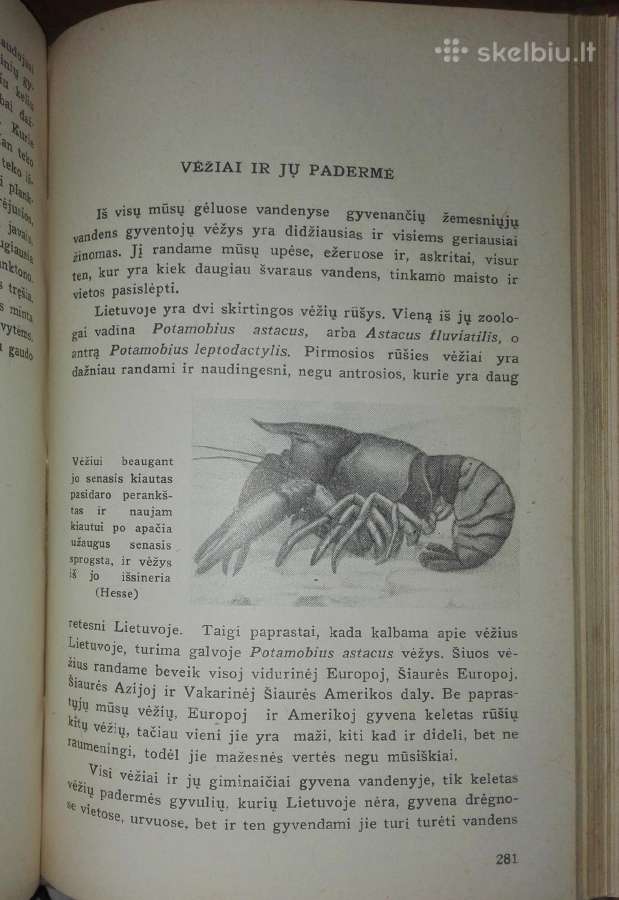 1374. Gyvoji Gamta Ir Mes Šivickis P. - nuotraukos Nr. 7