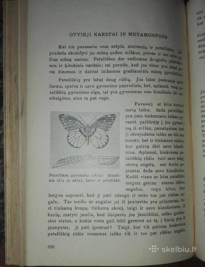 1374. Gyvoji Gamta Ir Mes Šivickis P. - nuotraukos Nr. 8
