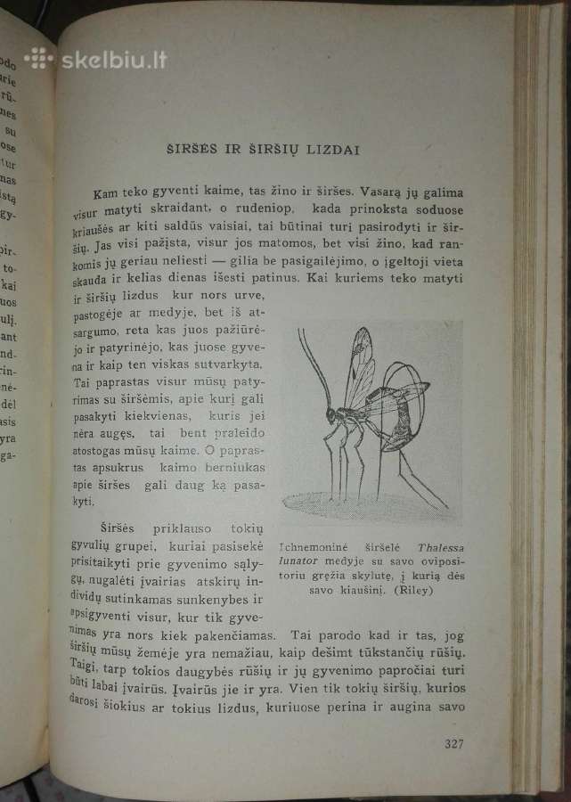 1374. Gyvoji Gamta Ir Mes Šivickis P. - nuotraukos Nr. 9