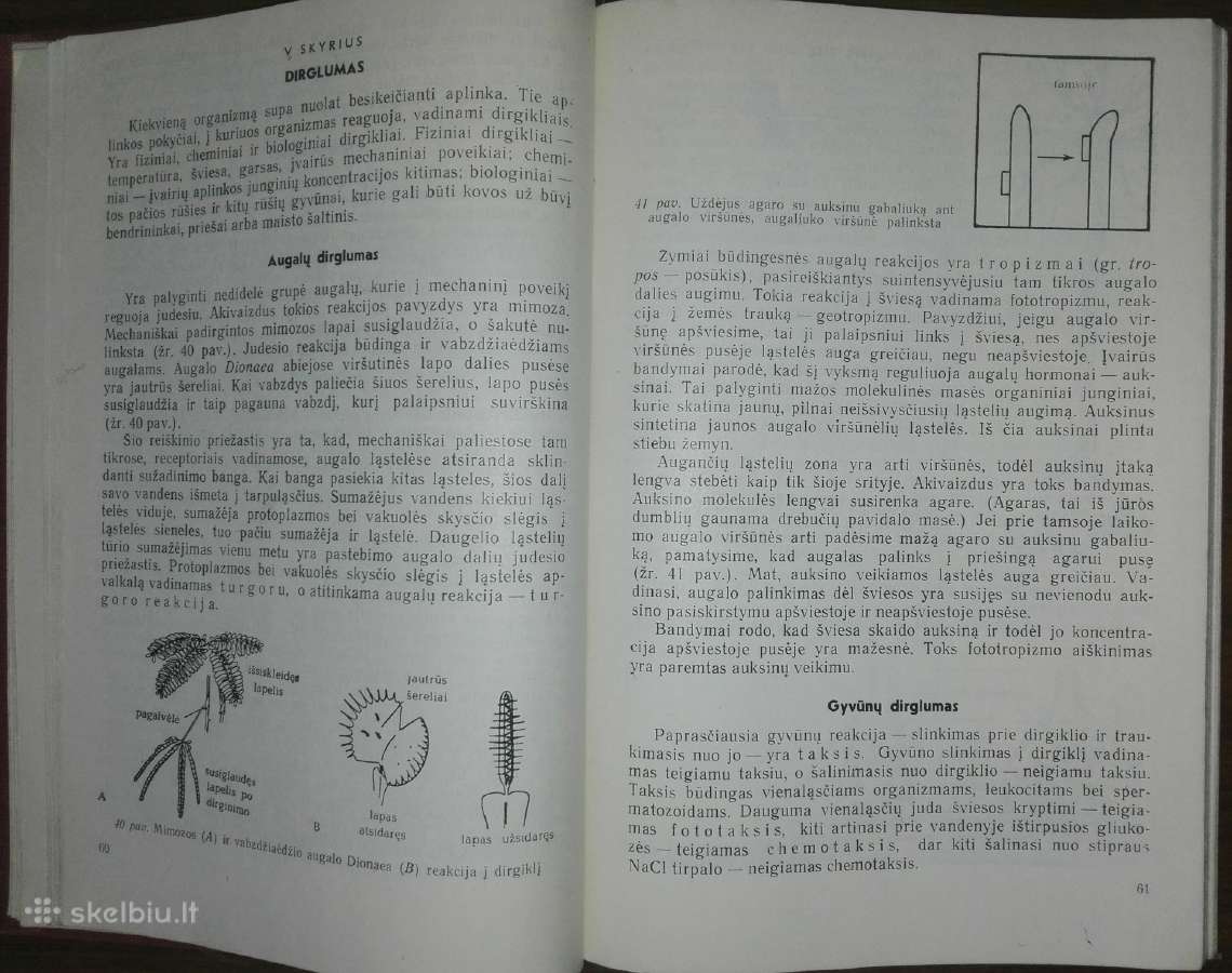 1375. Biologija Ivanauskas T. - nuotraukos Nr. 2