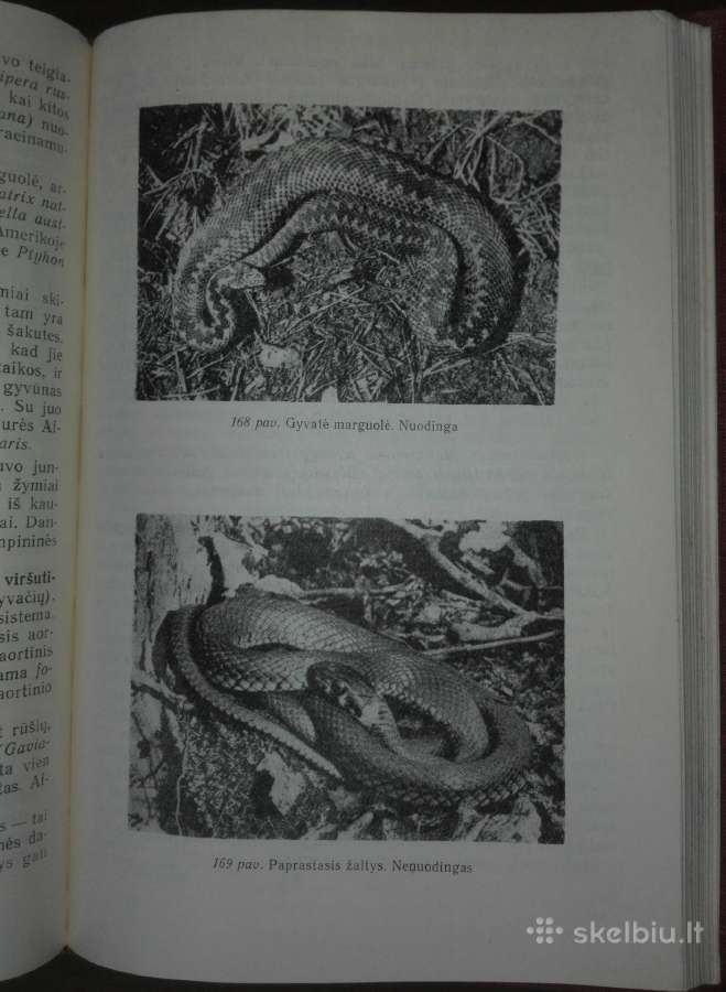 1375. Biologija Ivanauskas T. - nuotraukos Nr. 4
