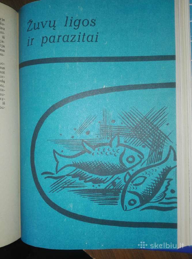 1377. Žvejo Vadovas Kazlauskas R. - nuotraukos Nr. 6