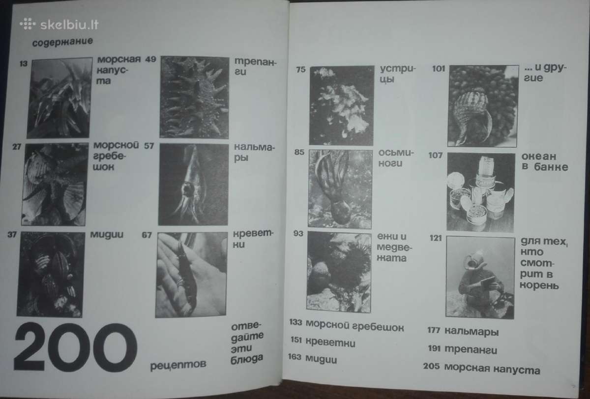 Knyga 1380. Дары Моря Зенкевмч Л. B - nuotraukos Nr. 4