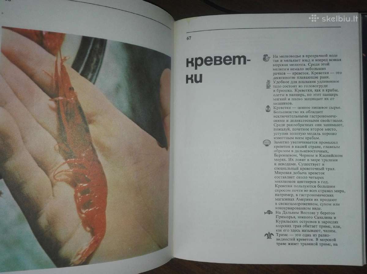 Knyga 1380. Дары Моря Зенкевмч Л. B - nuotraukos Nr. 6