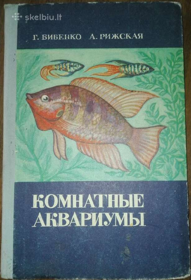 1381. Комнатные Аквариумы Бибенко Г.