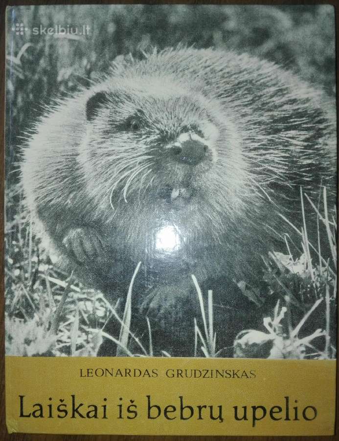 1386. Laiškai Iš Bebrų Upelio Grudzinskas L.