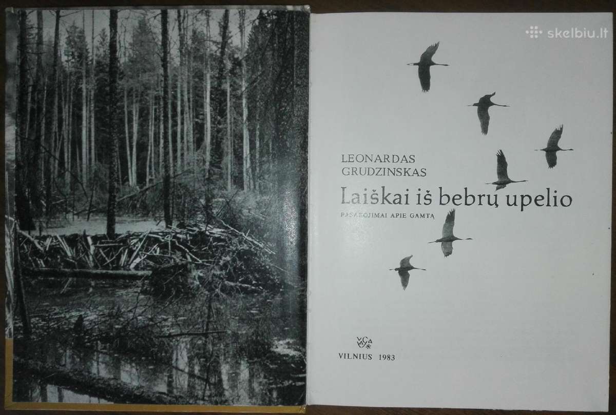 1386. Laiškai Iš Bebrų Upelio Grudzinskas L. - nuotraukos Nr. 2