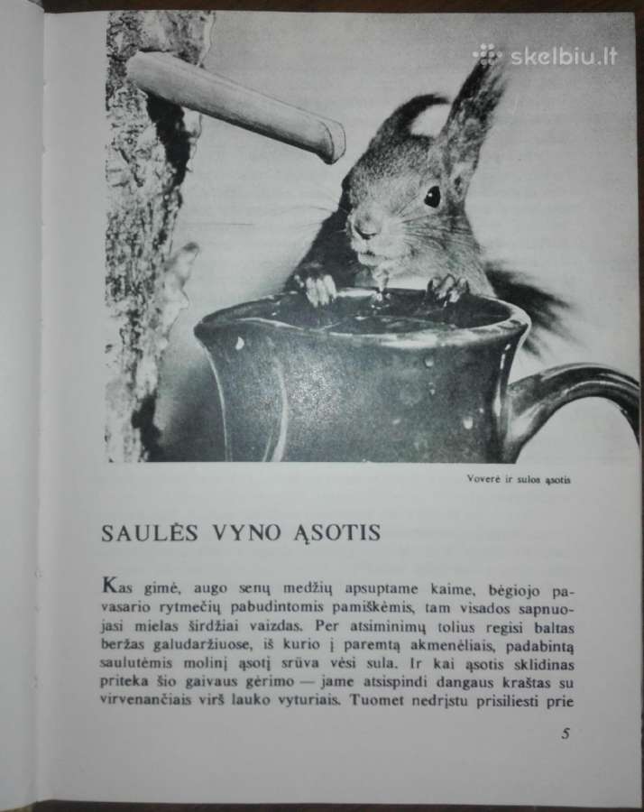 1386. Laiškai Iš Bebrų Upelio Grudzinskas L. - nuotraukos Nr. 3