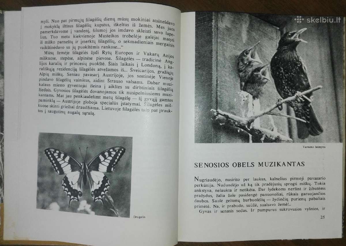 1386. Laiškai Iš Bebrų Upelio Grudzinskas L. - nuotraukos Nr. 4