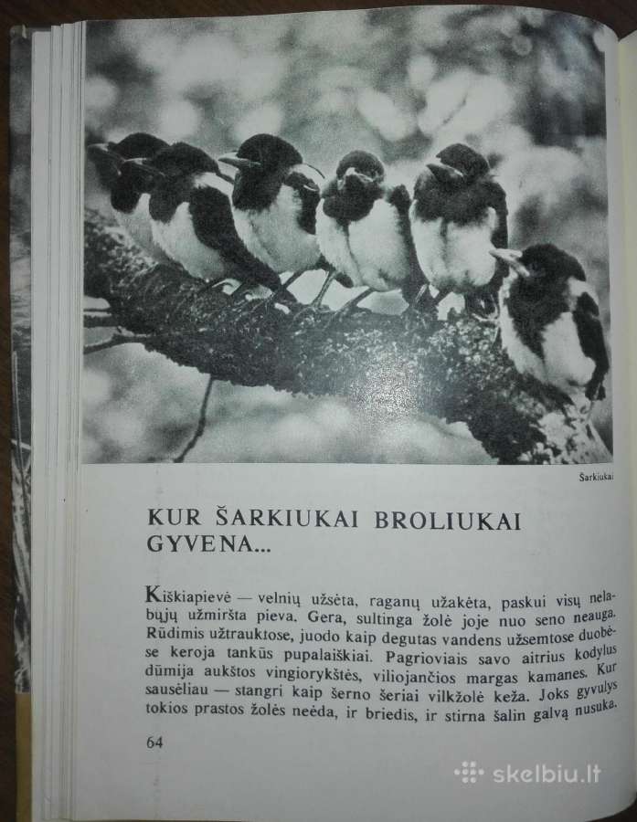 1386. Laiškai Iš Bebrų Upelio Grudzinskas L. - nuotraukos Nr. 5