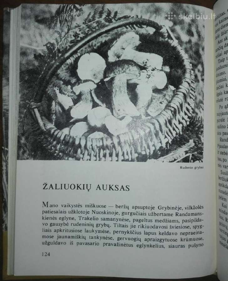 1386. Laiškai Iš Bebrų Upelio Grudzinskas L. - nuotraukos Nr. 6