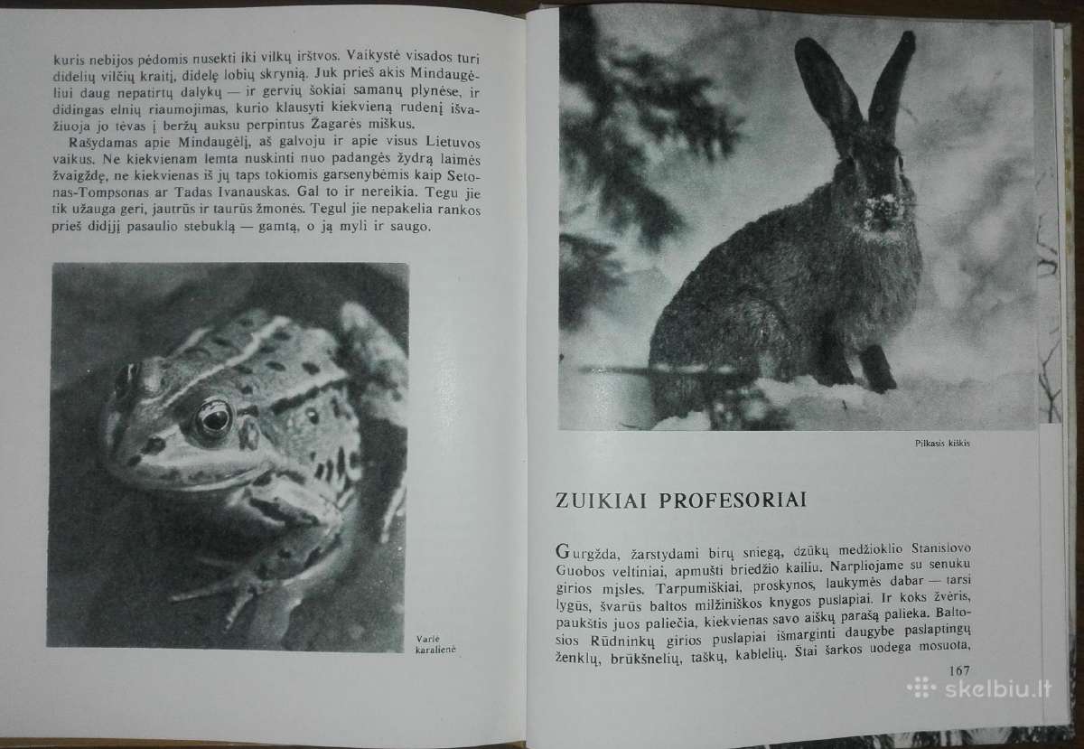 1386. Laiškai Iš Bebrų Upelio Grudzinskas L. - nuotraukos Nr. 7