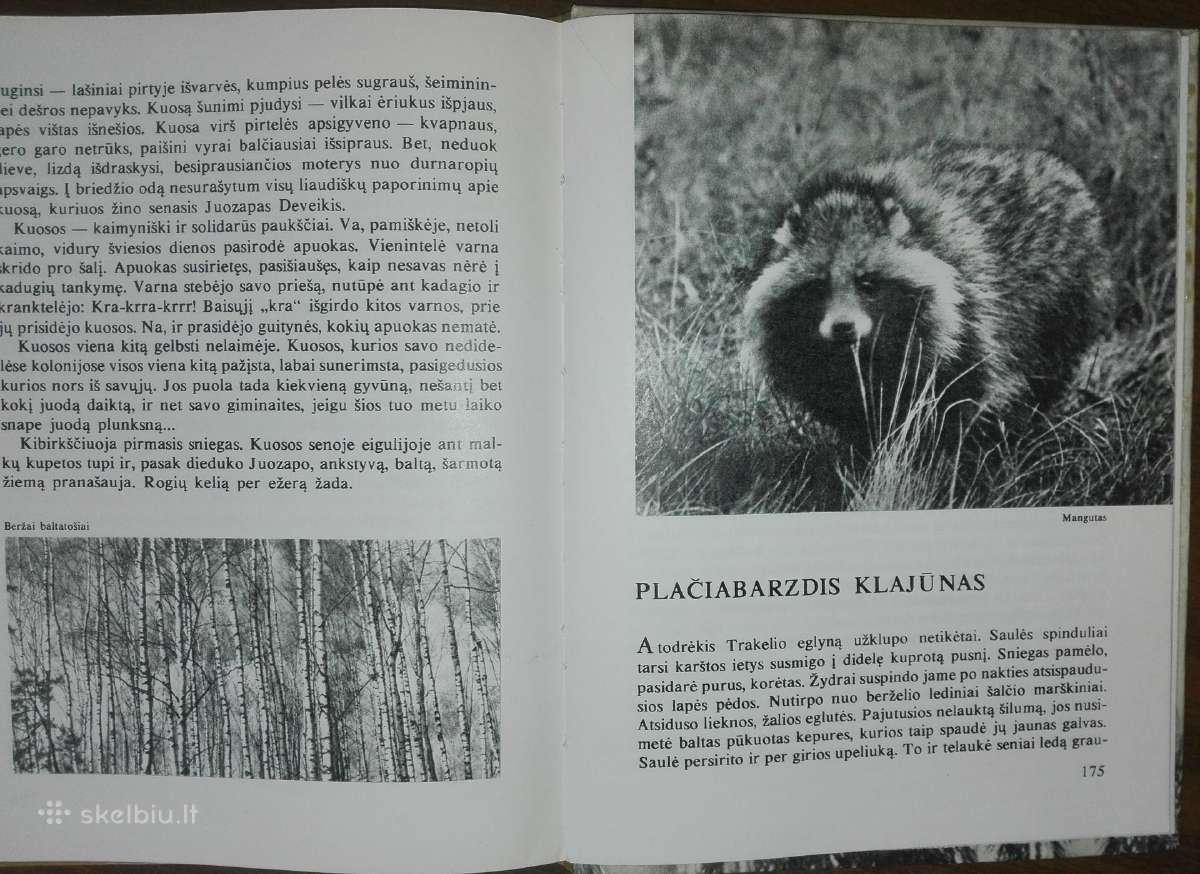 1386. Laiškai Iš Bebrų Upelio Grudzinskas L. - nuotraukos Nr. 8