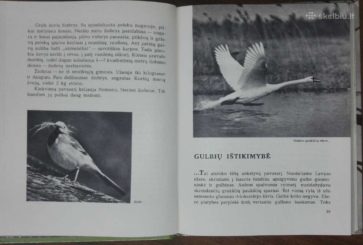 1387. Laiškai Iš Elnių Miško Grudzinskas L. - nuotraukos Nr. 4