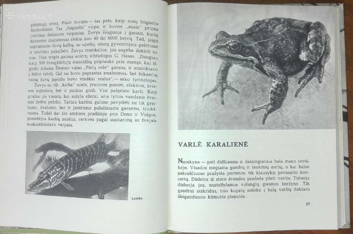 1387. Laiškai Iš Elnių Miško Grudzinskas L. - nuotraukos Nr. 5