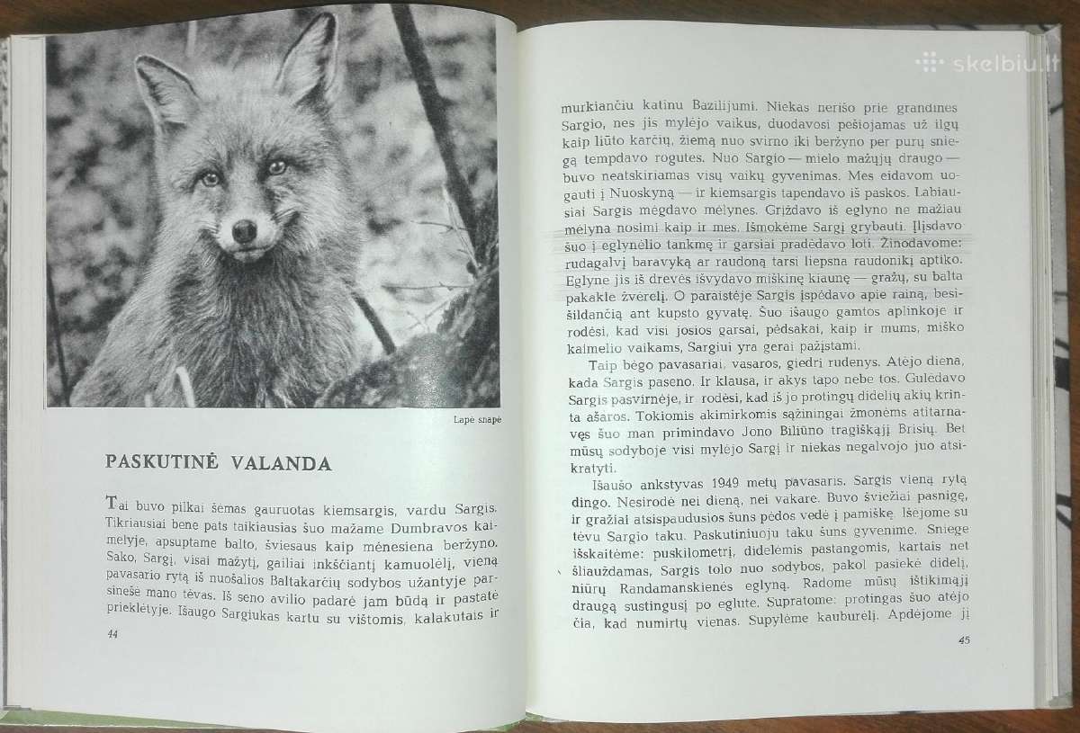 1387. Laiškai Iš Elnių Miško Grudzinskas L. - nuotraukos Nr. 6