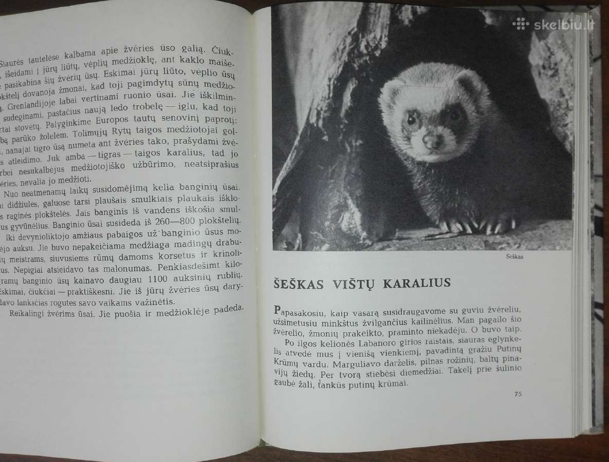 1387. Laiškai Iš Elnių Miško Grudzinskas L. - nuotraukos Nr. 8